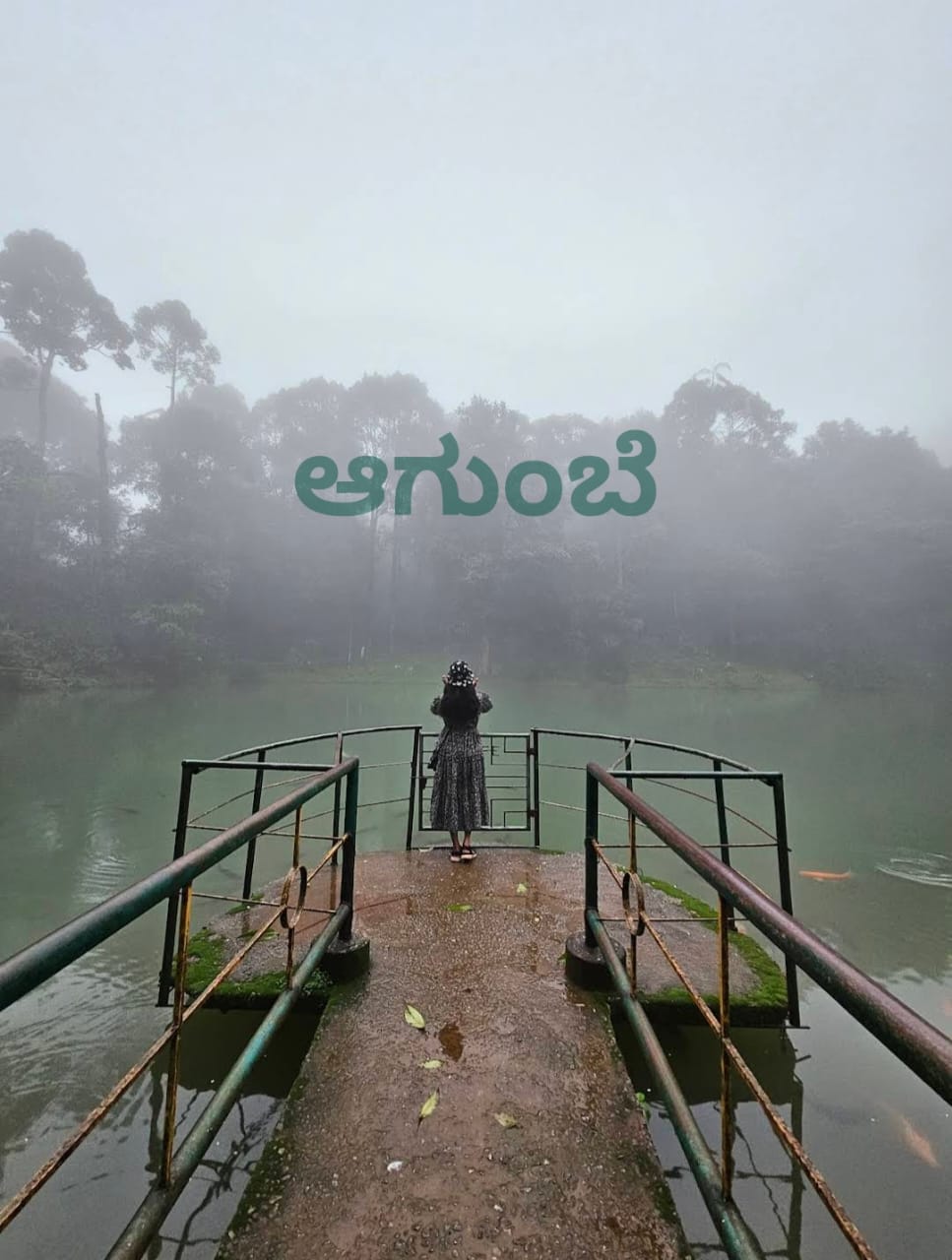 Why Agumbe is the Best Monsoon Destination (2026 Guide)